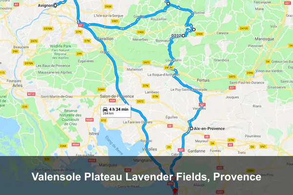 Valensole Plateau Lavender Fields, Provence