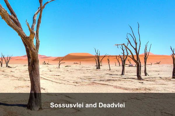 Sossusvlei and Deadvlei