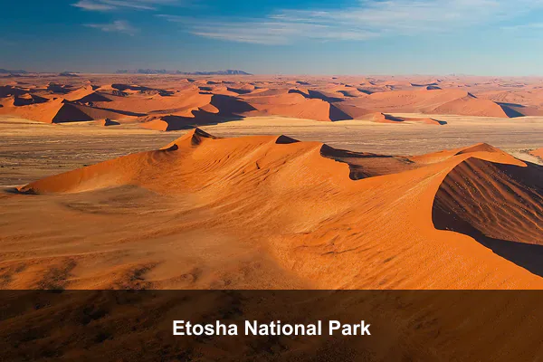 Etosha National Park