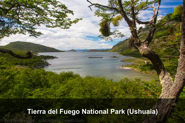 Tierra del Fuego National Park (Ushuaia)