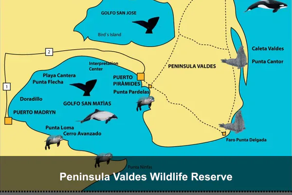 Peninsula Valdes Wildlife Reserve