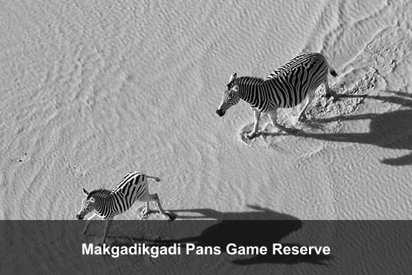 Makgadikgadi Pans Game Reserve