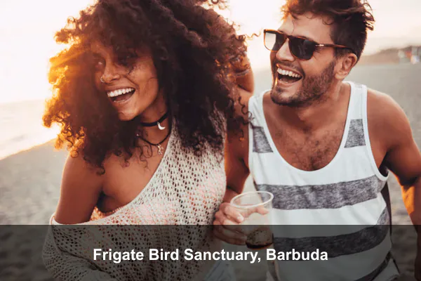 Frigate Bird Sanctuary, Barbuda