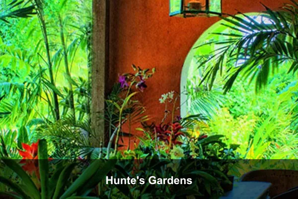 Hunte's Gardens