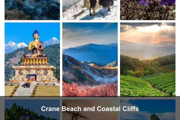 Crane Beach and Coastal Cliffs