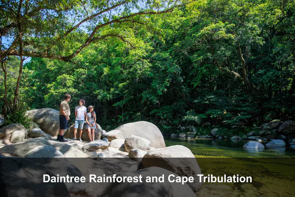 Daintree Rainforest and Cape Tribulation