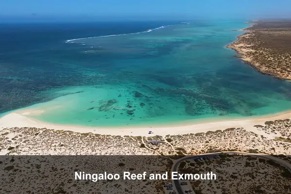 Ningaloo Reef and Exmouth