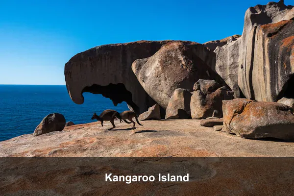 Kangaroo Island