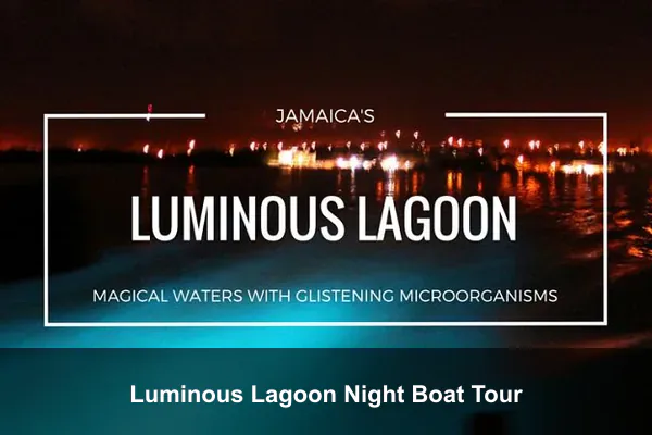 Luminous Lagoon Night Boat Tour
