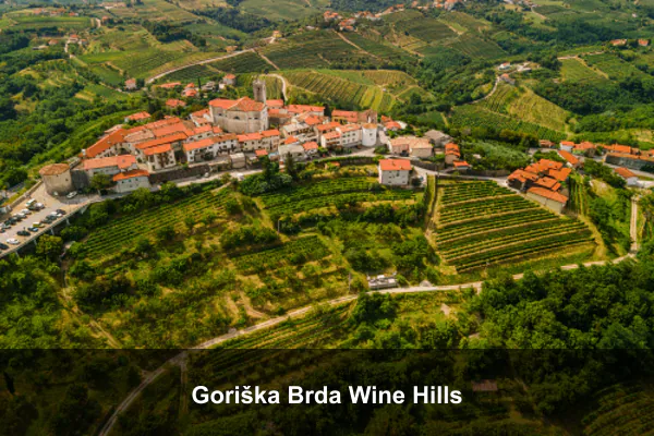 Goriška Brda Wine Hills