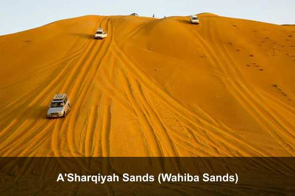 A'Sharqiyah Sands (Wahiba Sands)