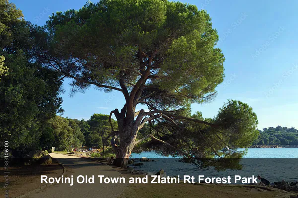 Rovinj Old Town and Zlatni Rt Forest Park
