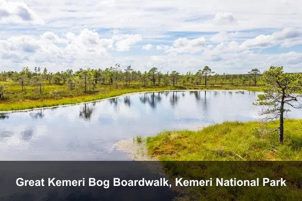 Great Kemeri Bog Boardwalk, Kemeri National Park