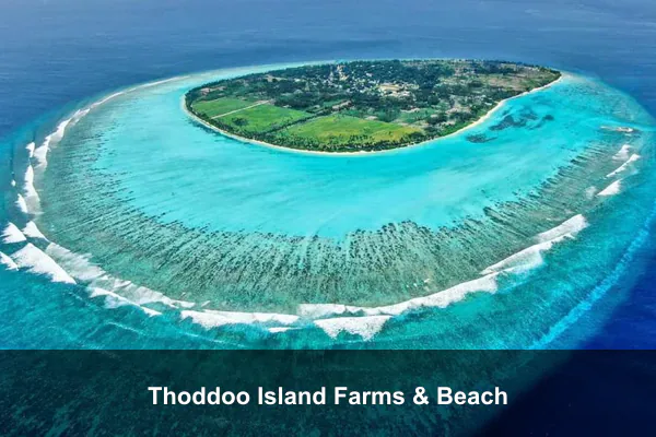 Thoddoo Island Farms & Beach