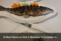 10 Best Places to Visit in Maldives: A Complete Travel Guide 10 Best Places to Visit in Maldives: A Complete Travel Guide