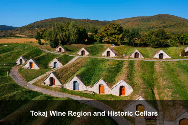 Tokaj Wine Region and Historic Cellars