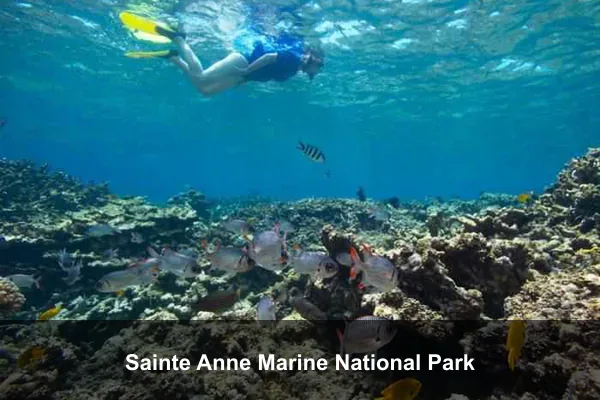 Sainte Anne Marine National Park