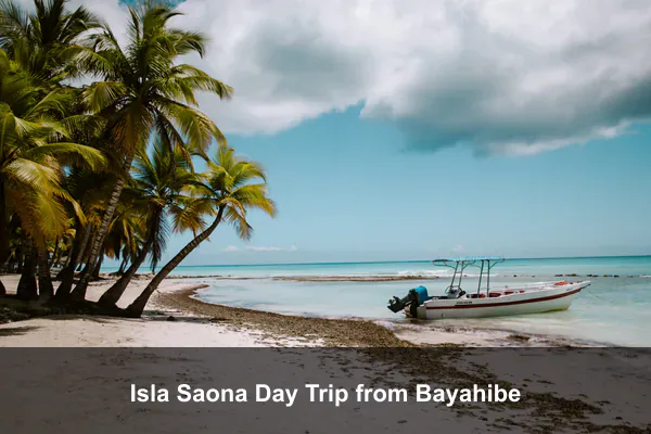 Isla Saona Day Trip from Bayahibe