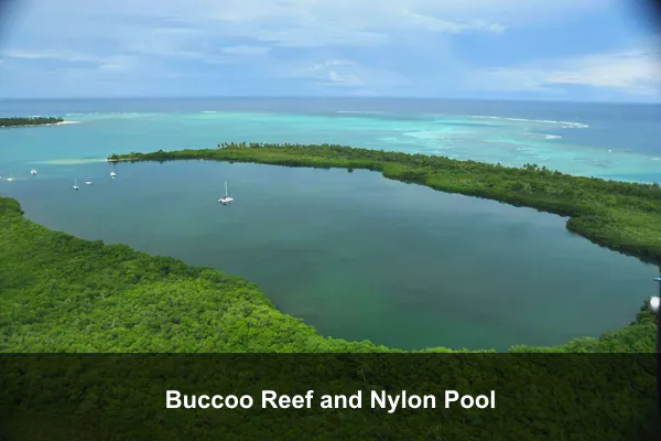Buccoo Reef and Nylon Pool