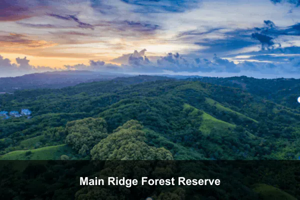 Main Ridge Forest Reserve
