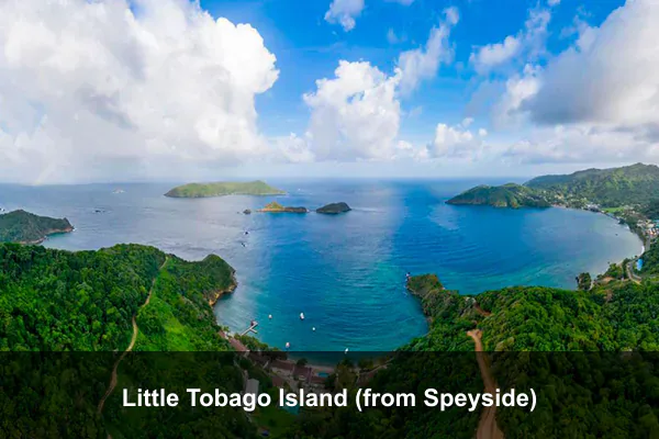 Little Tobago Island (from Speyside)