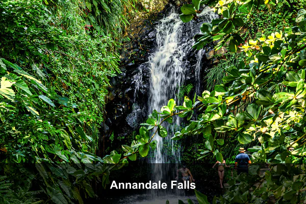 Annandale Falls