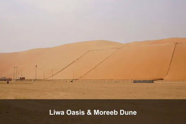 Liwa Oasis & Moreeb Dune