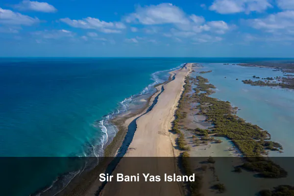 Sir Bani Yas Island
