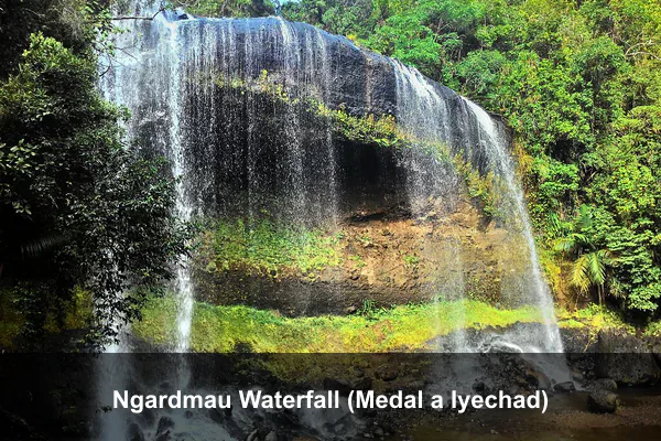 Ngardmau Waterfall (Medal a Iyechad)