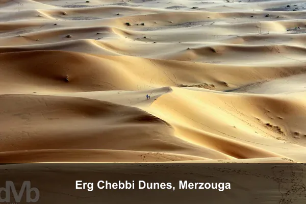Erg Chebbi Dunes, Merzouga