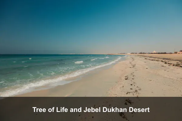 Tree of Life and Jebel Dukhan Desert