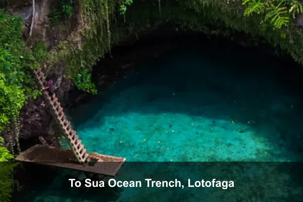 To Sua Ocean Trench, Lotofaga