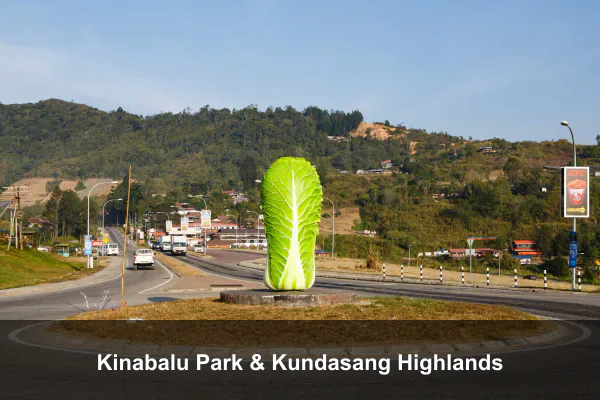 Kinabalu Park & Kundasang Highlands