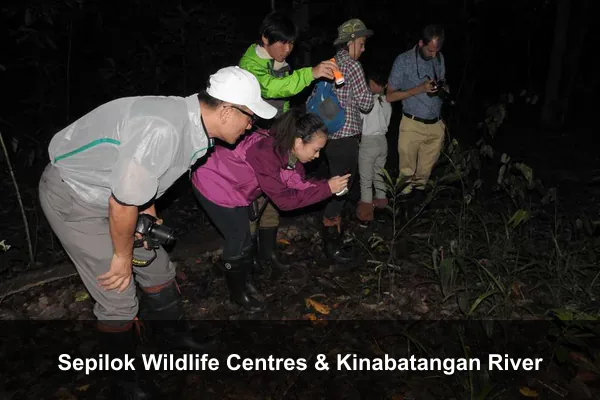 Sepilok Wildlife Centres & Kinabatangan River
