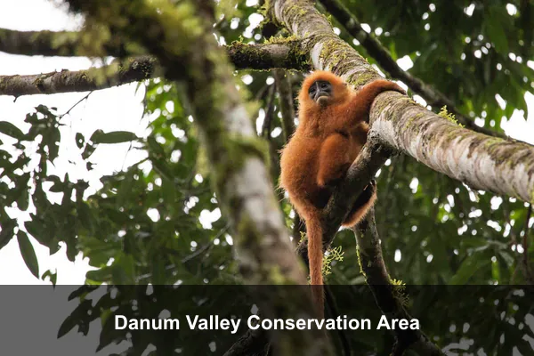 Danum Valley Conservation Area