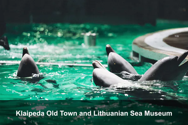 Klaipeda Old Town and Lithuanian Sea Museum