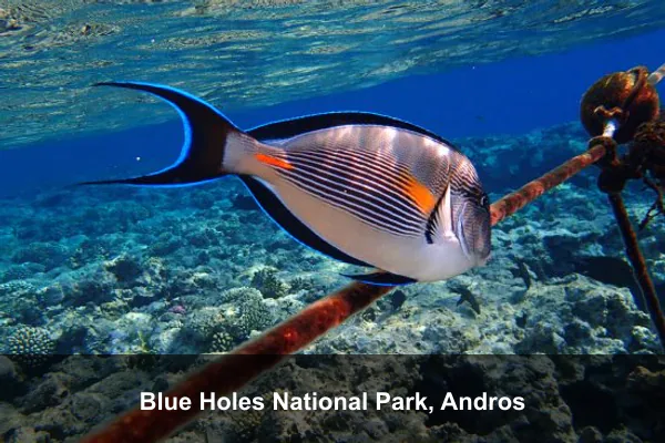 Blue Holes National Park, Andros