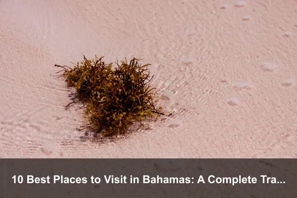 10 Best Places to Visit in Bahamas: A Complete Travel Guide