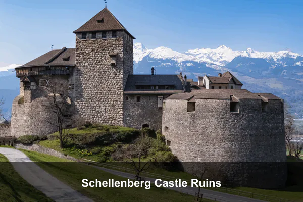 Schellenberg Castle Ruins