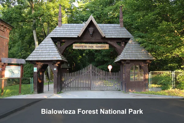 Bialowieza Forest National Park