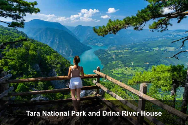 Tara National Park and Drina River House