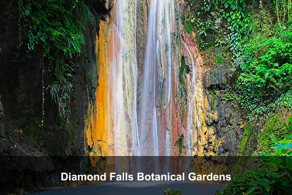 Diamond Falls Botanical Gardens