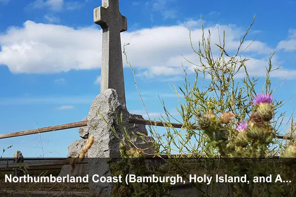 Northumberland Coast (Bamburgh, Holy Island, and Alnwick)