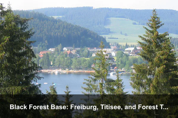 Black Forest Base: Freiburg, Titisee, and Forest Trails
