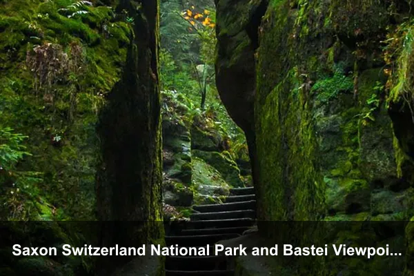 Saxon Switzerland National Park and Bastei Viewpoints