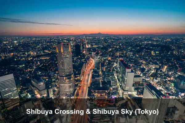 Shibuya Crossing & Shibuya Sky (Tokyo)