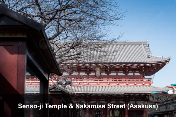 Senso-ji Temple & Nakamise Street (Asakusa)
