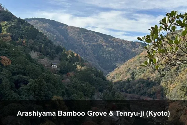 Arashiyama Bamboo Grove & Tenryu-ji (Kyoto)