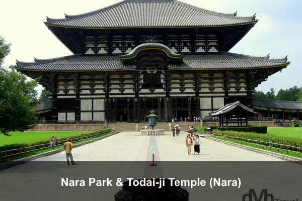 Nara Park & Todai-ji Temple (Nara)