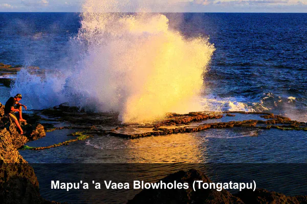 Mapu'a 'a Vaea Blowholes (Tongatapu)